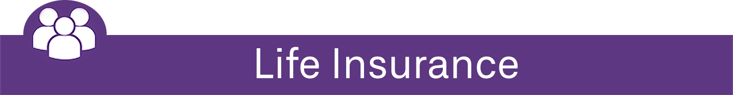 Life Insurance Banner